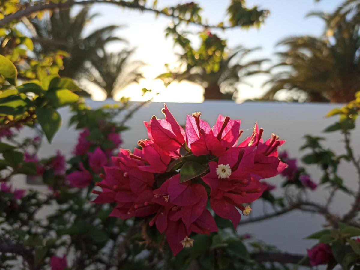 Vila Casa Rosa Puerto Calero Exteriér fotografie